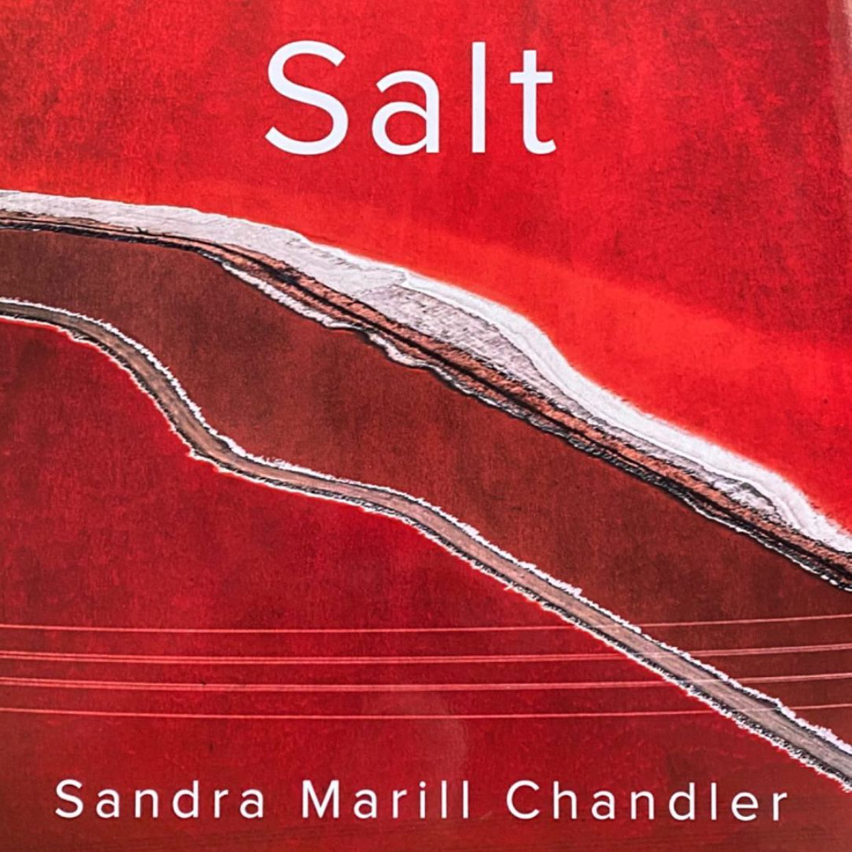 Salt by Sandra Marill Chandler