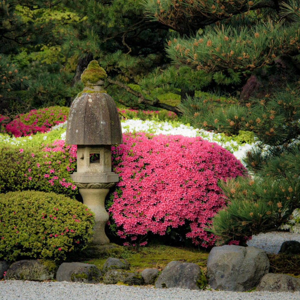 Azalea Lantern