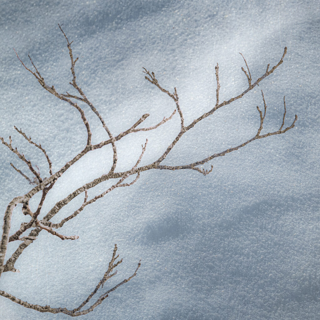Snow Dancing