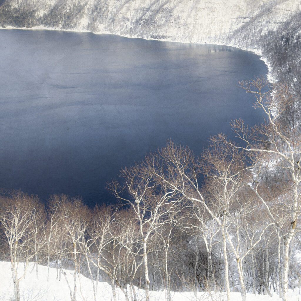 Surrounding Birches